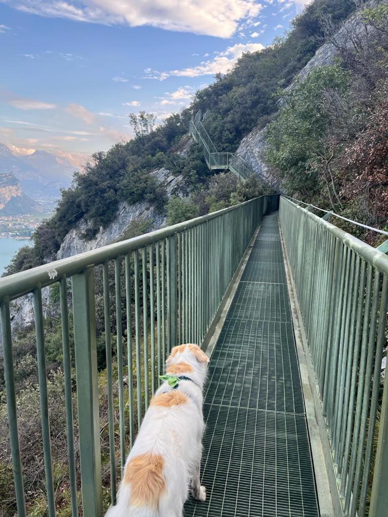 Appartamento Marocche Torbole Sul Garda Exterior foto